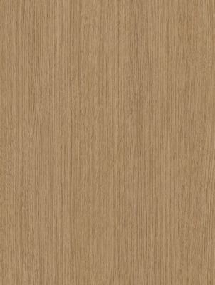 Cashew Beech B6