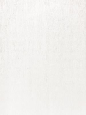 Rich White J14
