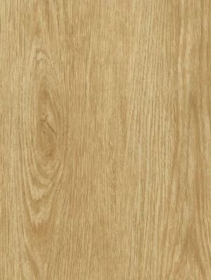 Tan Oak NF34