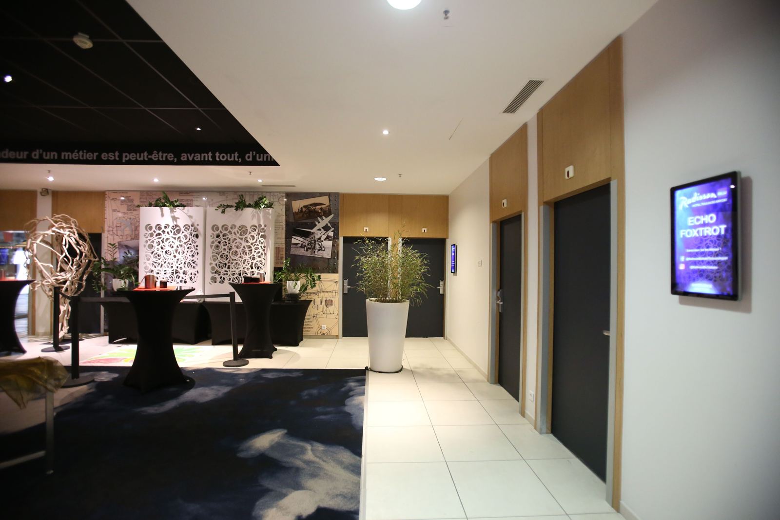 Radisson Blu Toulouse Airport, gallery 4